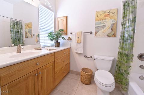 193 N Ski Ct, Gilbert, AZ 85233 photo 73