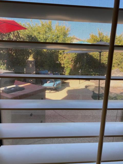 4514 E Rakestraw Ln, Gilbert, AZ 85298 photo 39