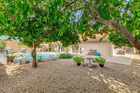 5603 Encanto St, Mesa, AZ 85205 photo 24