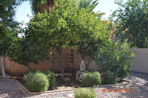 455 E Ranch Rd, Gilbert, AZ 85296 photo 7