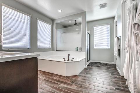 4293 E Morrison Ranch Pkwy, Gilbert, AZ 85296 photo 44