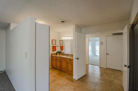4310 E Hano St, Phoenix, AZ 85044 photo 26