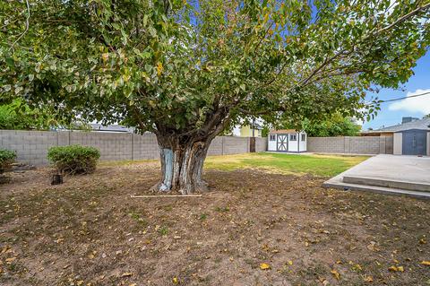 936 E 8th Pl, Mesa, AZ 85203 photo 31