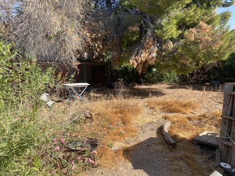 3250 E Vineyard Rd, Phoenix, AZ 85042 photo 6