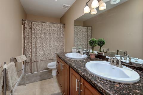 3232 E Silverwood Dr, Phoenix, AZ 85048 photo 17