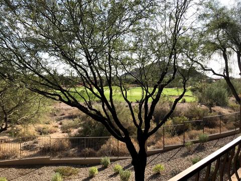 7445 Eagle Crest Dr #2045, Mesa, AZ 85207 photo 10