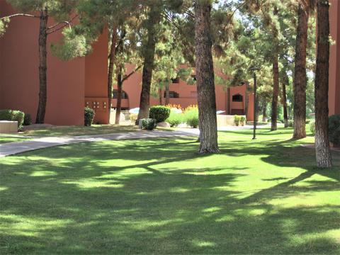 4303 E Cactus Rd #101, Phoenix, AZ 85032 photo 45