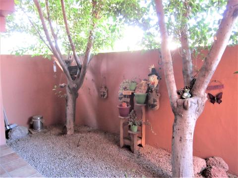4303 E Cactus Rd #101, Phoenix, AZ 85032 photo 8