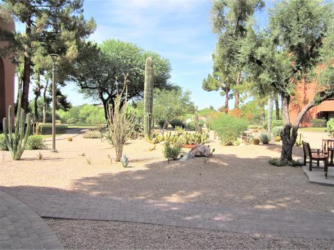 4303 E Cactus Rd #101, Phoenix, AZ 85032 photo 44