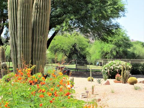 4303 E Cactus Rd #101, Phoenix, AZ 85032 photo 47