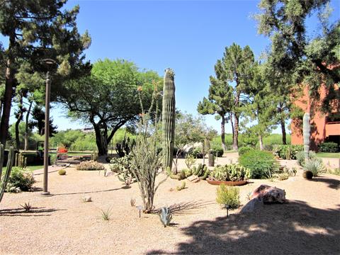 4303 E Cactus Rd #101, Phoenix, AZ 85032 photo 46