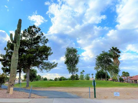 6131 E Nance St, Mesa, AZ 85215 photo 66