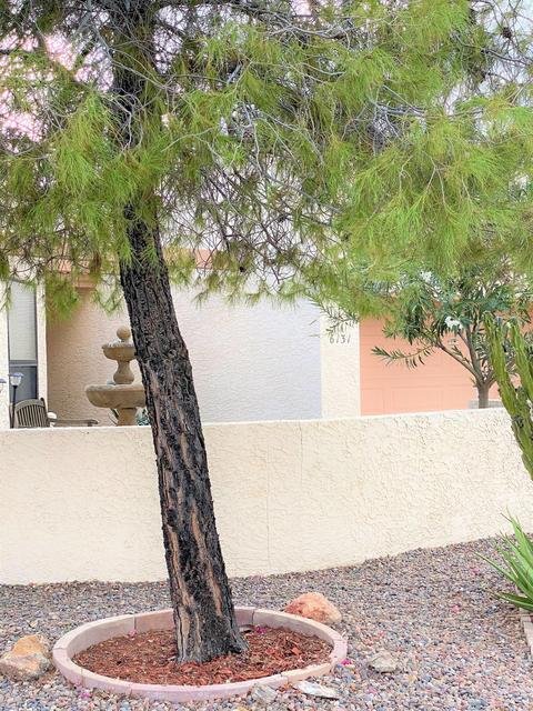 6131 E Nance St, Mesa, AZ 85215 photo 13