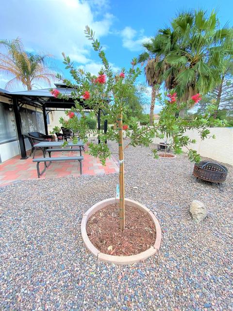 6131 E Nance St, Mesa, AZ 85215 photo 63