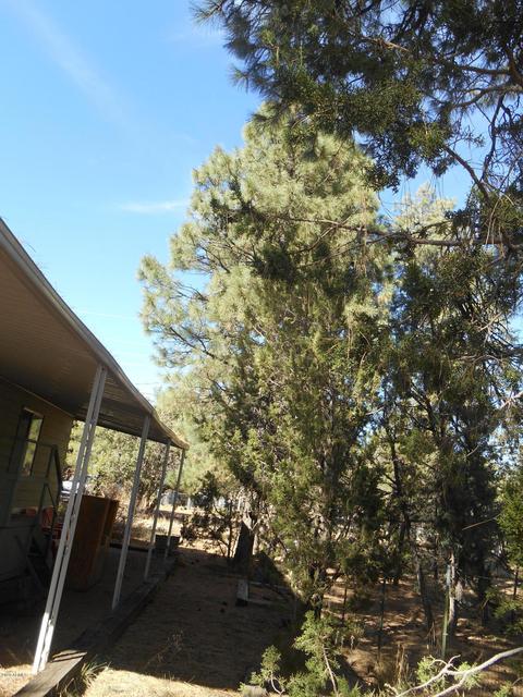 2143 Wildflower Rd, Overgaard, AZ 85933 photo 11
