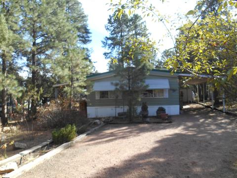 2143 Wildflower Rd, Overgaard, AZ 85933 photo 1