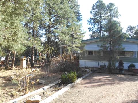 2143 Wildflower Rd, Overgaard, AZ 85933 photo 2