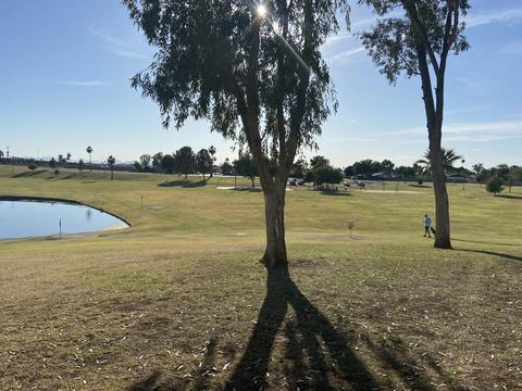 1543 E Hampton Cir, Mesa, AZ 85204 photo 28