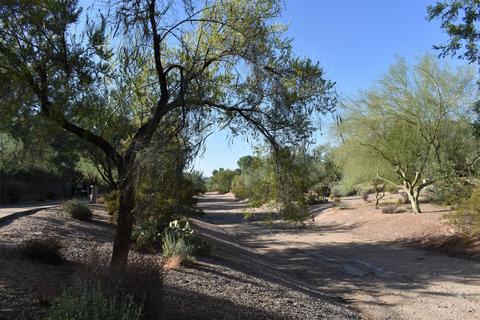 4601 E Adobe Dr, Phoenix, AZ 85050 photo 29