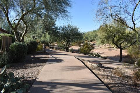 4601 E Adobe Dr, Phoenix, AZ 85050 photo 27