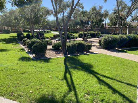 11122 E Shepperd Ave, Mesa, AZ 85212 photo 36
