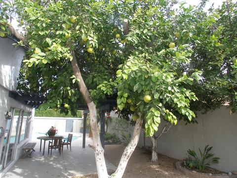 1605 E Windjammer Way, Tempe, AZ 85283 photo 39