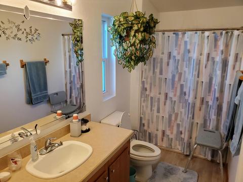 9126 E Chambers St, Mesa, AZ 85208 photo 27