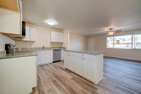 847 E Friar Ave, Apache Junction, AZ 85119 photo 9