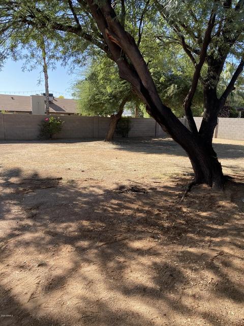 4427 E Phelps Rd, Phoenix, AZ 85032 photo 9
