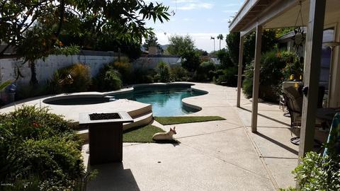 3538 E Willow Ave, Phoenix, AZ 85032 photo 1