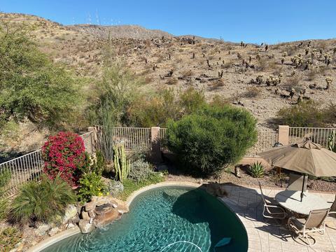 710 E Mountain Sky Ave, Phoenix, AZ 85048 photo 42