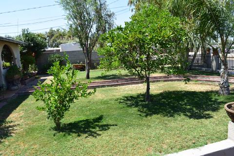 9437 N 13th Ave, Phoenix, AZ 85021 photo 9