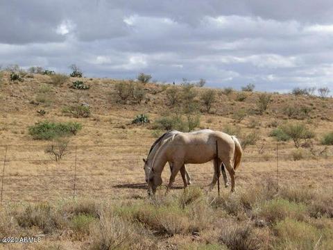5771 S Timken Trl, Willcox, AZ 85643 photo 26