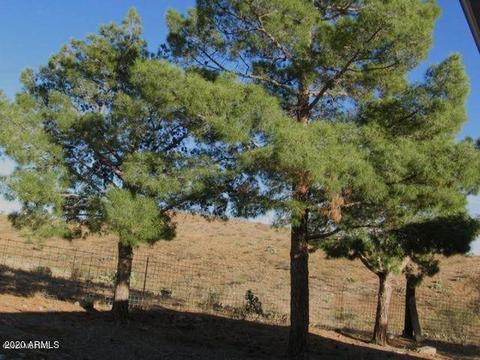 5771 S Timken Trl, Willcox, AZ 85643 photo 29