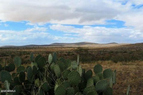 5771 S Timken Trl, Willcox, AZ 85643 photo 10