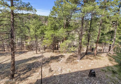 2302 Link Smith --, Flagstaff, AZ 86005 photo 49