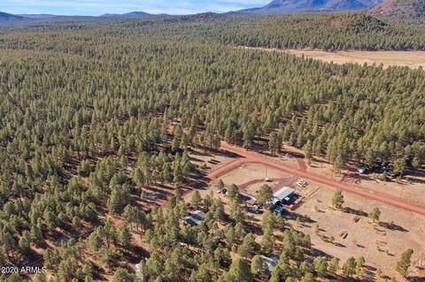 3501 E Pine Cone Dr, Williams, AZ 86046 photo 26