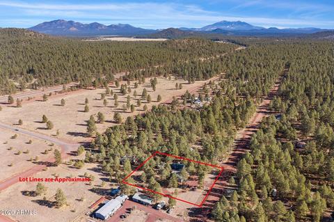 3501 E Pine Cone Dr, Williams, AZ 86046 photo 5