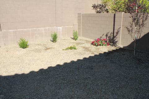 3254 E Tina Dr, Phoenix, AZ 85050 photo 25