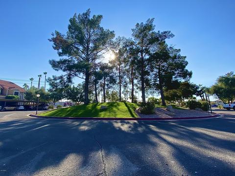 5230 E Brown Rd #208, Mesa, AZ 85205 photo 29