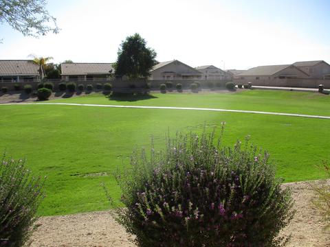 6549 W Cordes Rd, Phoenix, AZ 85043 photo 22