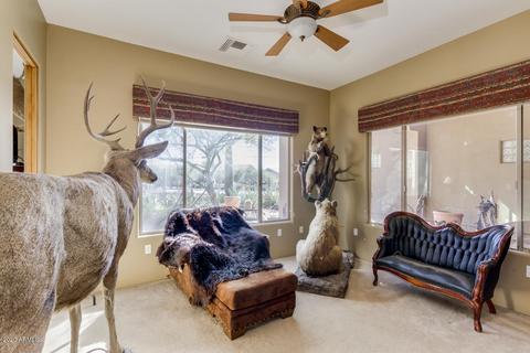 3306 W Cloud Rd, Phoenix, AZ 85086 photo 42