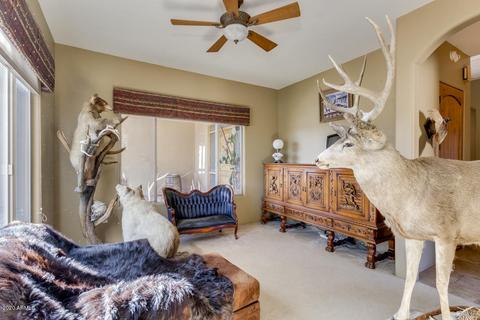 3306 W Cloud Rd, Phoenix, AZ 85086 photo 41