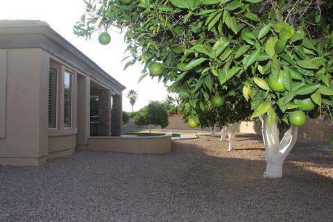 3114 E Gary St, Mesa, AZ 85213 photo 20