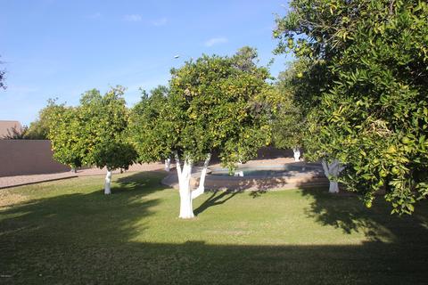 3114 E Gary St, Mesa, AZ 85213 photo 19