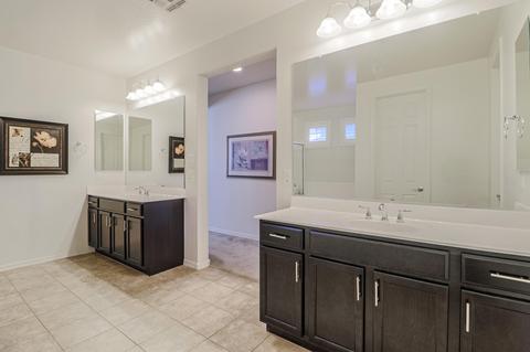 10117 E Satellite Dr, Mesa, AZ 85212 photo 35