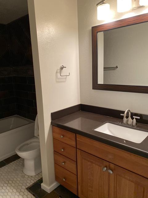 1742 E Downing St, Mesa, AZ 85203 photo 15
