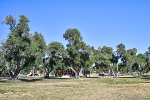 3033 E Devonshire Ave #2025, Phoenix, AZ 85016 photo 37
