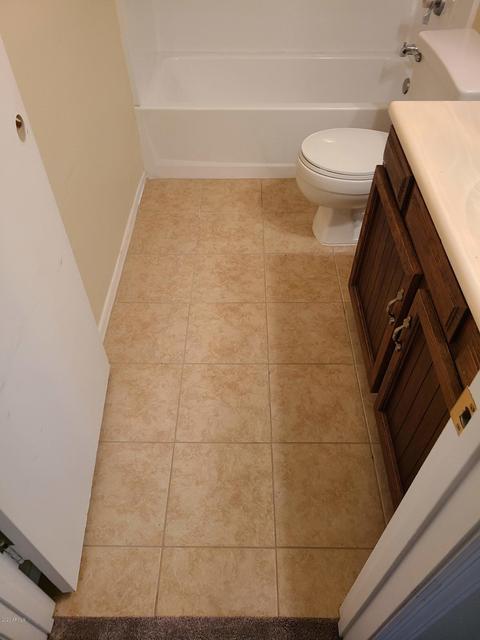 1339 E Palmdale Dr, Tempe, AZ 85282 photo 19