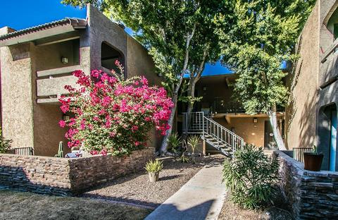 3825 E Camelback Rd #167, Phoenix, AZ 85018 photo 3